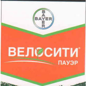 img-23
